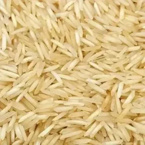 falxfrfs 400 400.webp