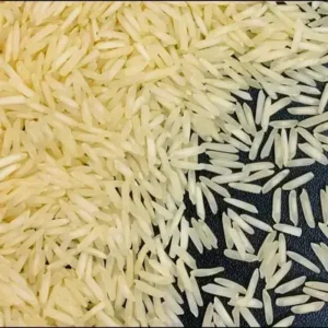 djeuszoz 400 400.webp