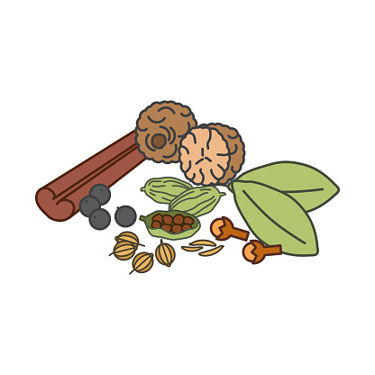 vector illustration.