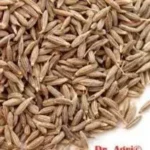 Cumin Seeds (Jeera)