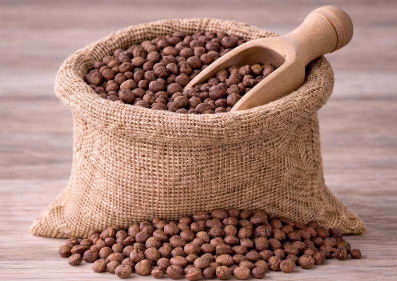 Brown Chana