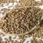 Carom Seeds (Ajwain)